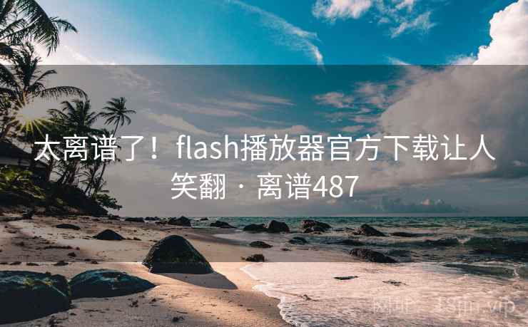 太离谱了！flash播放器官方下载让人笑翻 · 离谱487