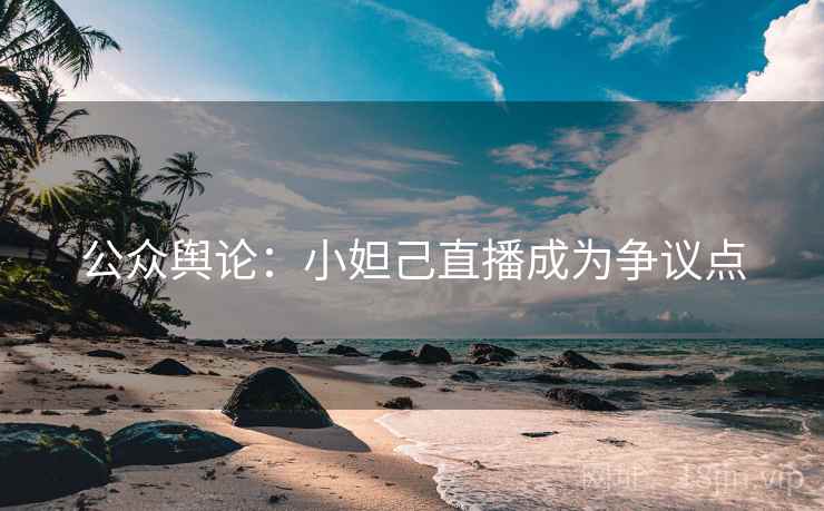公众舆论：小妲己直播成为争议点  第2张